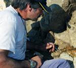Encuentran restos fósiles de dinosaurios en Argentina