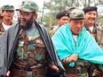 Una mirada a las FARC